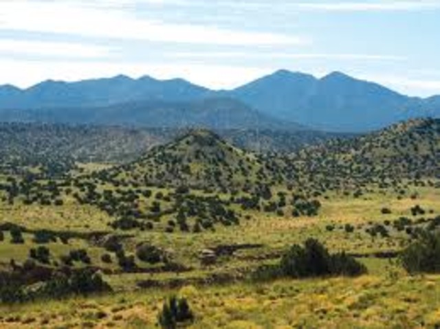 Single Biggest Real Estate Purchase