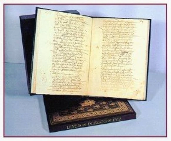 LEYES DE BURGOS