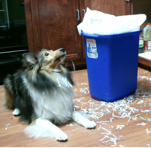 Russians announce space exclusivity on rockets