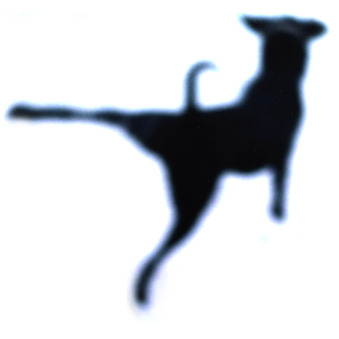 Co-founder & Creative Director, Put On the Dog, Inc.