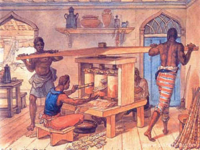 Fase da Cana de açucar.