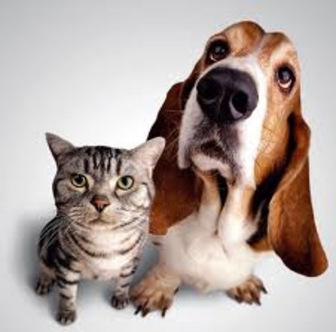 I had a job when I was 5