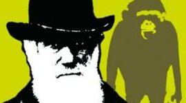 Timeline: Evolution Revolution