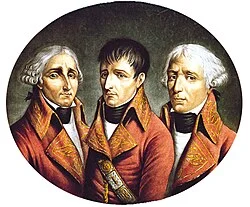 Napoleó, cònsol vitalici