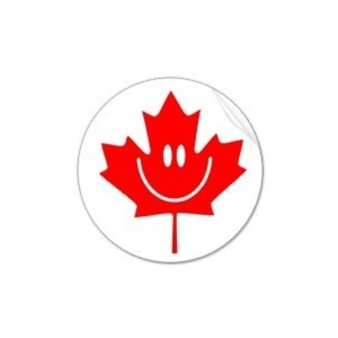 Leif Ericsson Discovers America