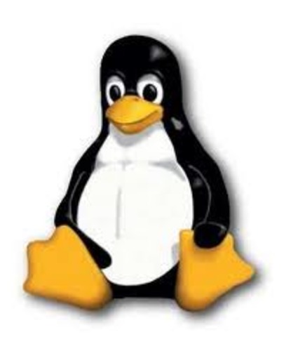 Lanzamiento de la versión 1.0 por parte de Linux.