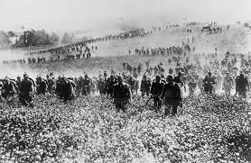 WW1