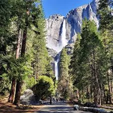 Yosemite under Federal Control