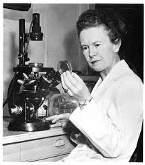 Nettie Stevens