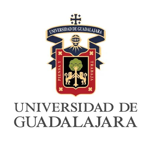 En la actualidad