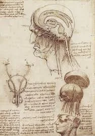 Leonardo da Vinci