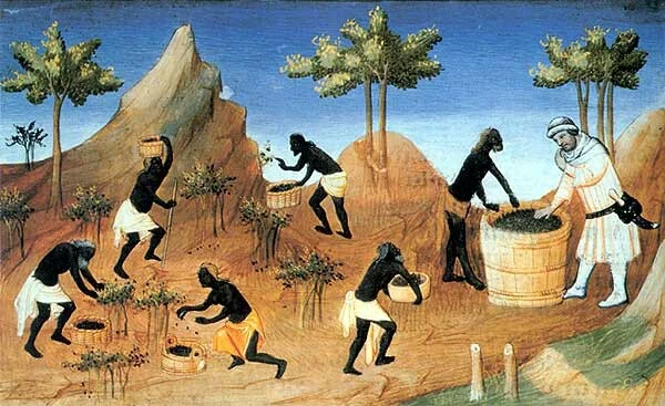 Edad Media (Siglo V)