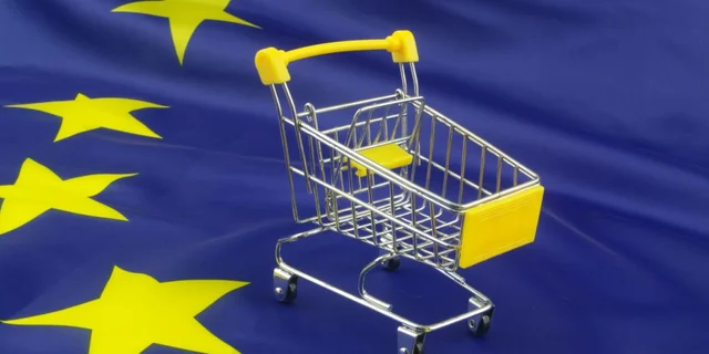 Establecimiento del mercado único