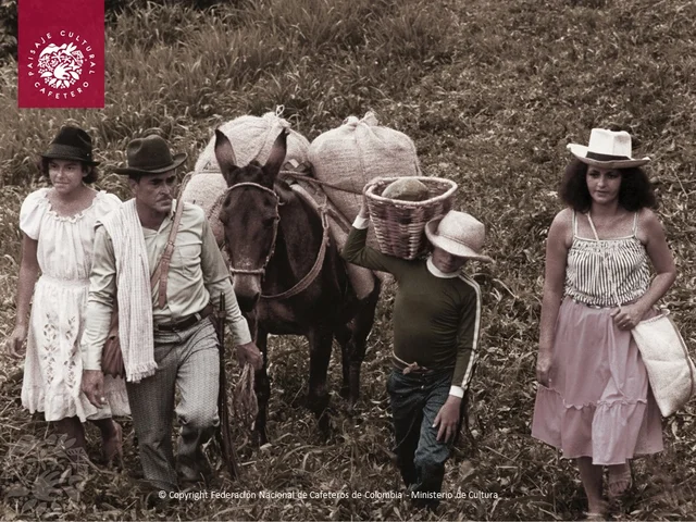 1850-1900: Consolidación del modelo colonizador