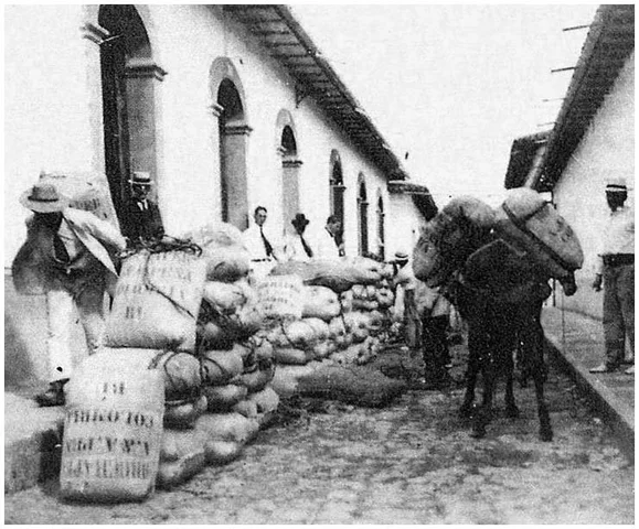 1900-1930: Auge de la economía cafetera y modernización regional