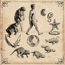 Teoría de la evolución