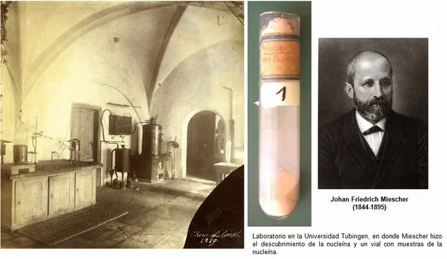 Descubrimiento del ADN