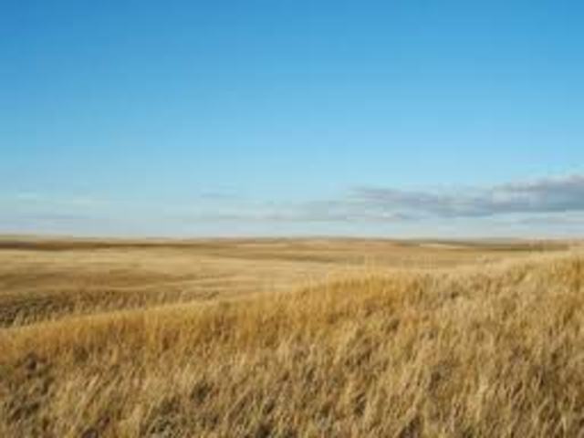 Progressive Party created