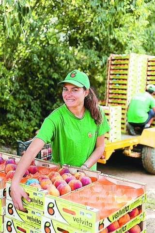 The kind of enterpreneuship that can be developed