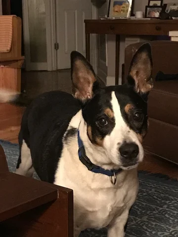 Alley Died (14 years)