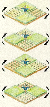 The Agricultural Revolution (early 1700s)