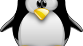 Timeline: CODIGO LINUX