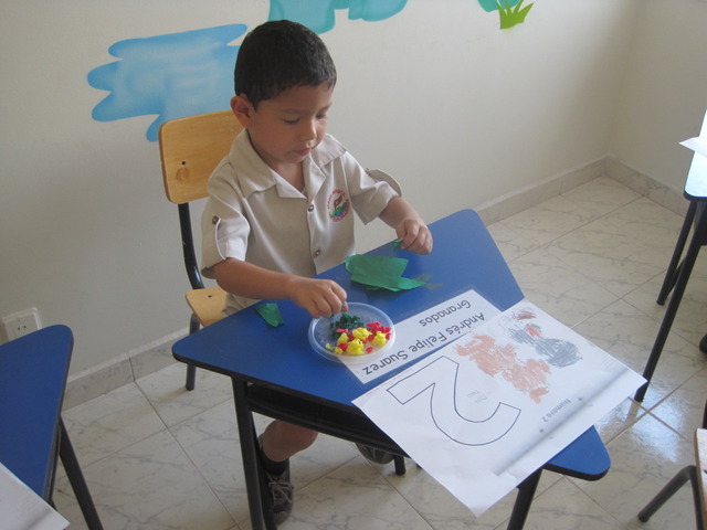 Realización Actividad.