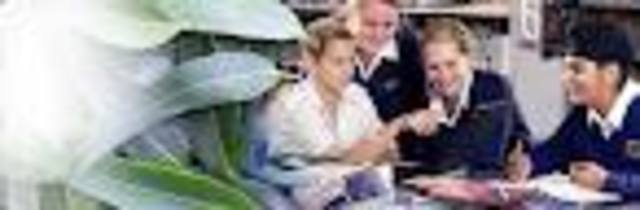 Meet new friends at Rowville