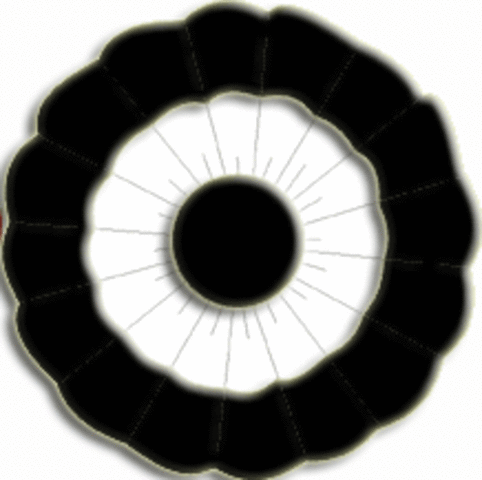 Beginning of Federalist Party