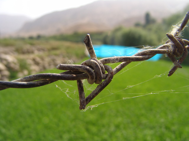 Invention of Barbed Wire