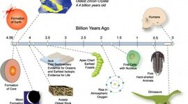 Timeline: Period 1, Tran and Yoder, History of the Earth Timeline