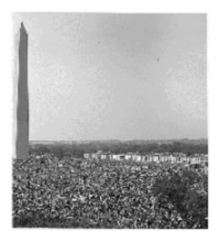 The Watts race riots