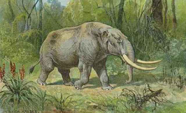 Cenozoic Era