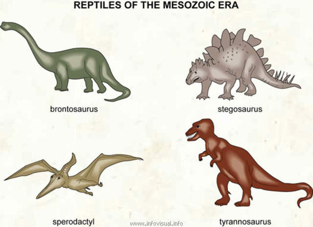 Mesozoic Era