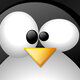 Linux nany