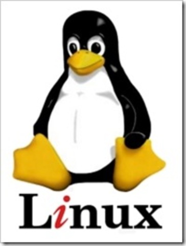 LINUX