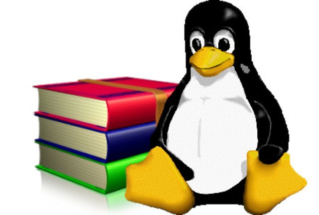 se lanzó la version Linux 1.0