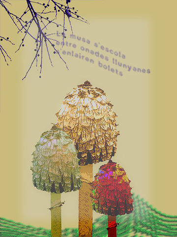 El CERN ens cedeix els seu fons