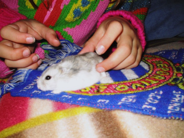 Primera mascota de la Núria