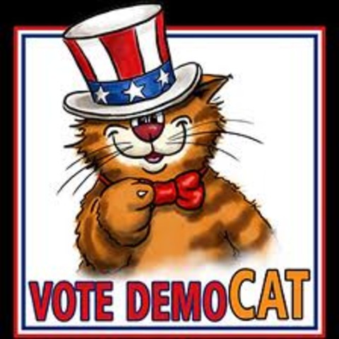 Beginning of Democratic Party