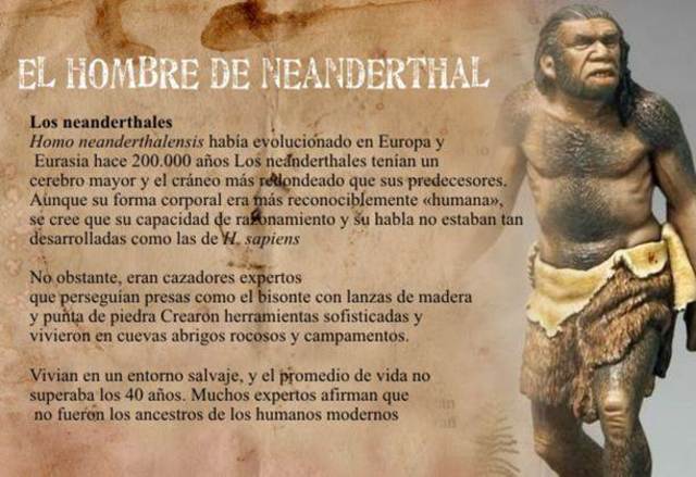 Hombre de Neanderthal