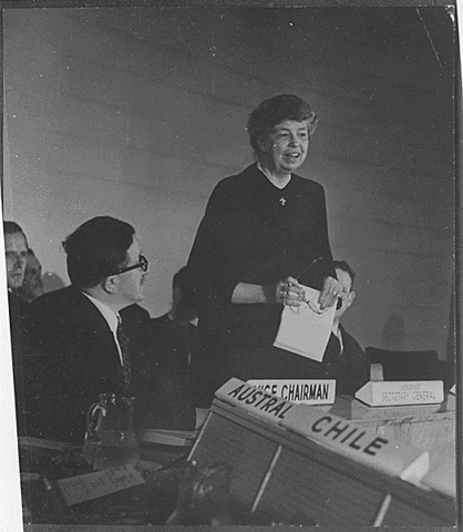 Elected as Chair of the UN Committee Three