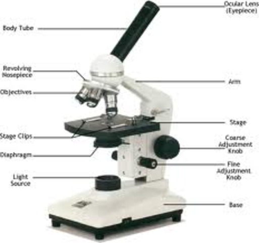 (1600-1700) Microscope