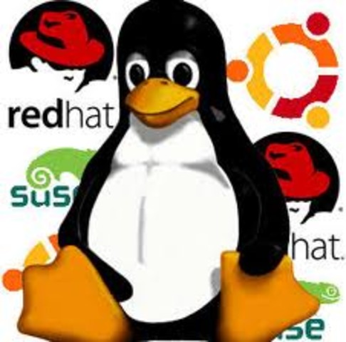 LAS PRIMERAS DISTRIBUCIONES DE LINUX SON CREADAS, Y SE PUBLICA LA VERSION 0.99