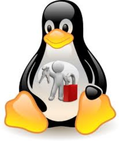 lideres en el mercado