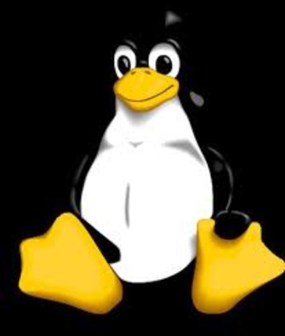 primer sitio fttp de linux