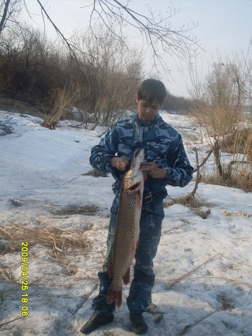 Алексеев день