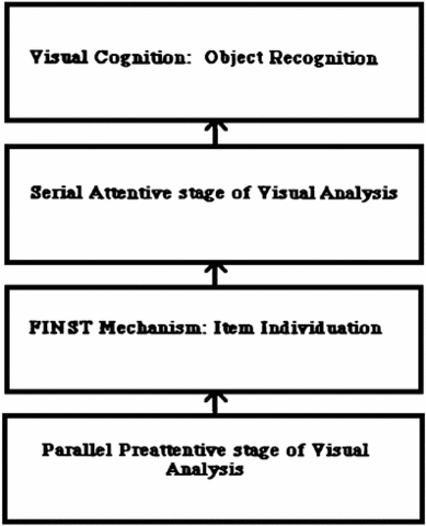FINST (or Multiple Object Tracking)