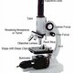 Microscope for edline pic