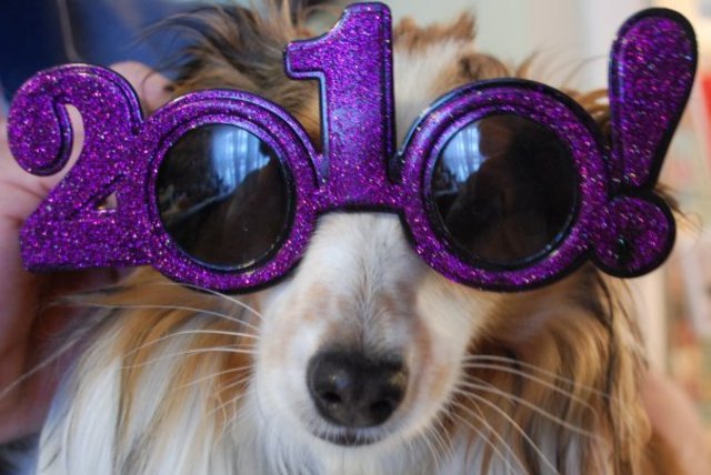 The 2000s were for academic libraries